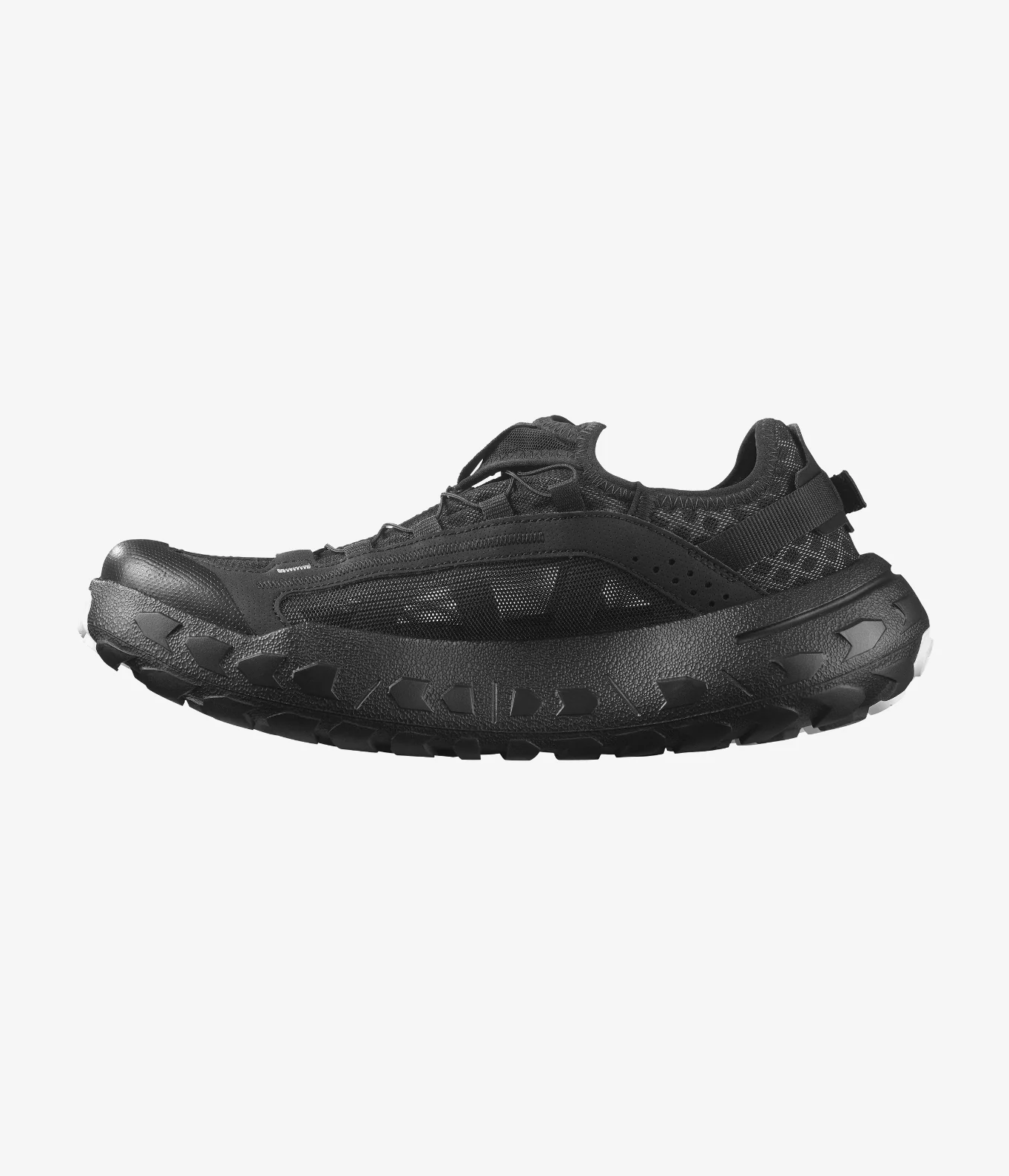 SOLAMPHIBIAN - Image 3