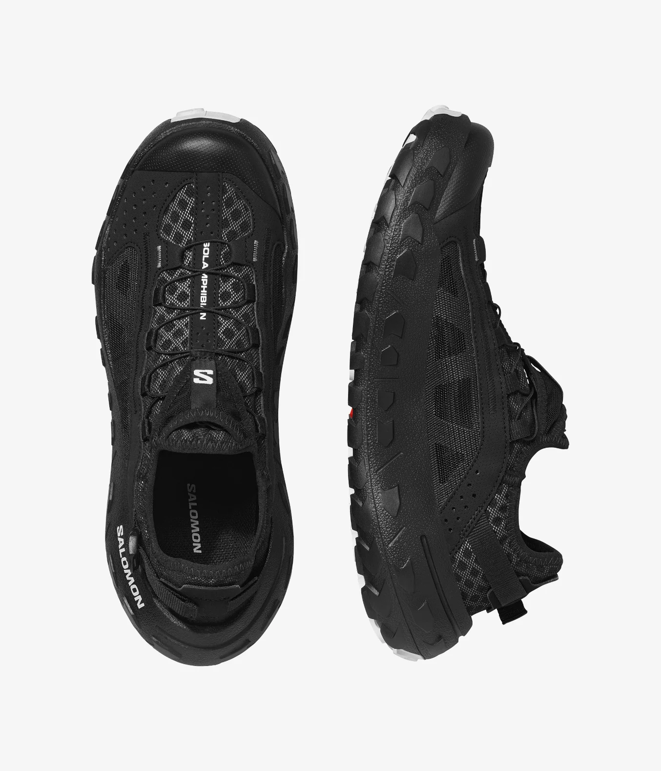 SOLAMPHIBIAN - Image 4