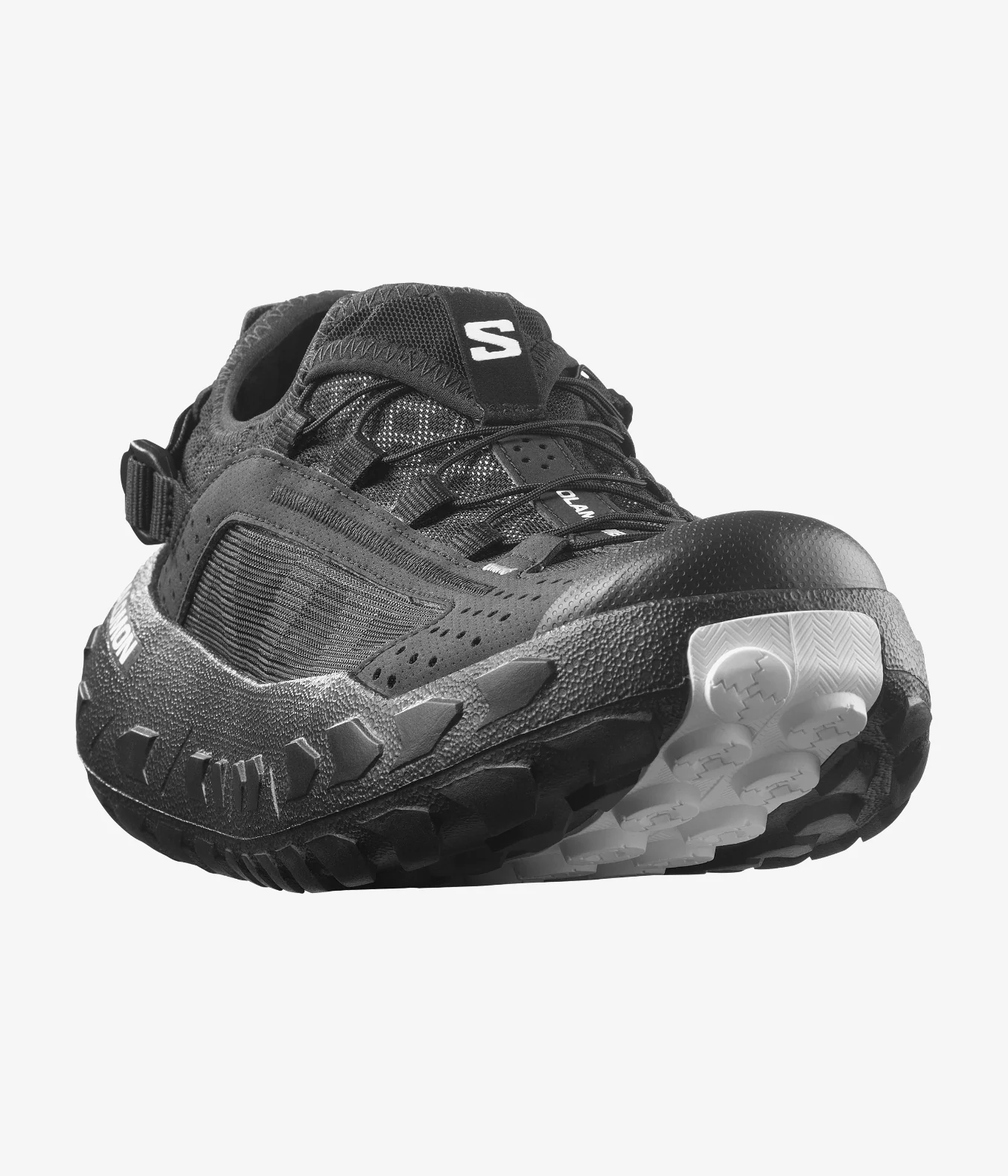 SOLAMPHIBIAN - Image 5
