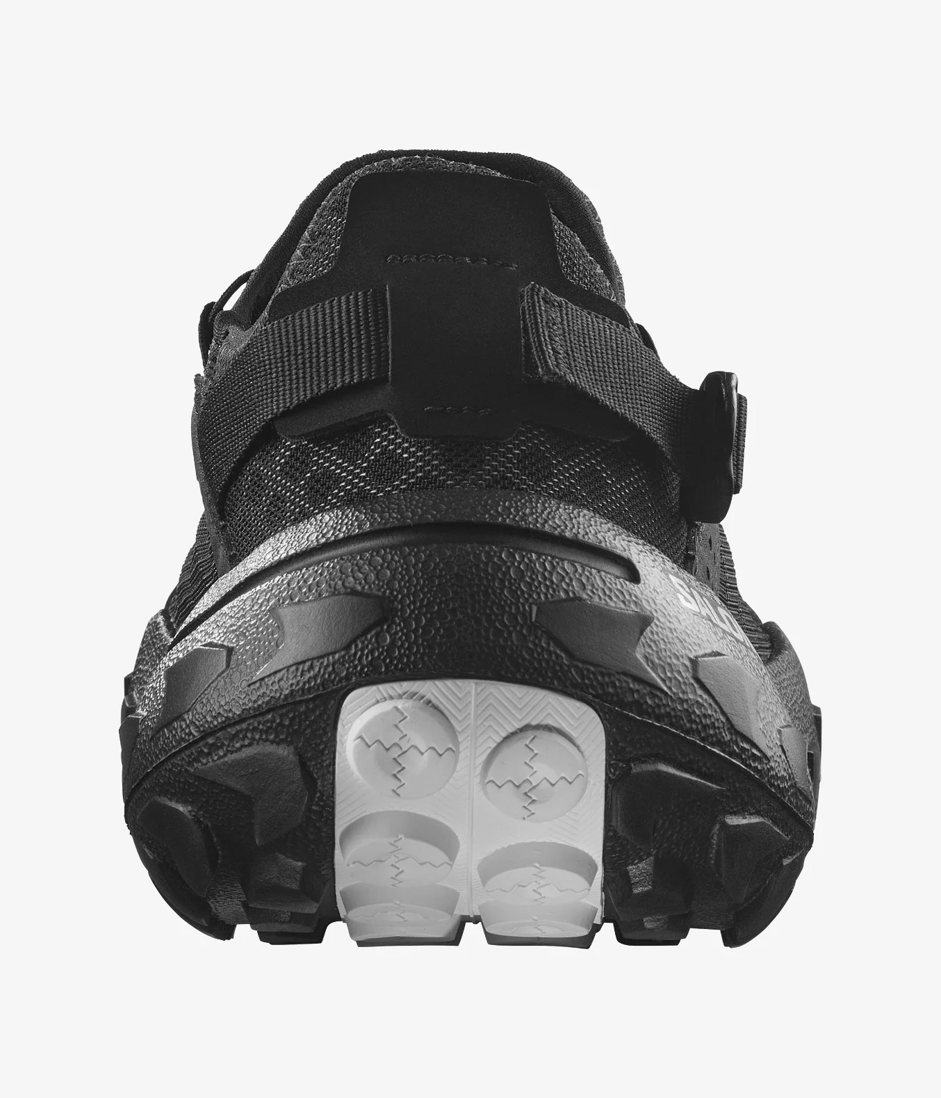 SOLAMPHIBIAN - Image 6