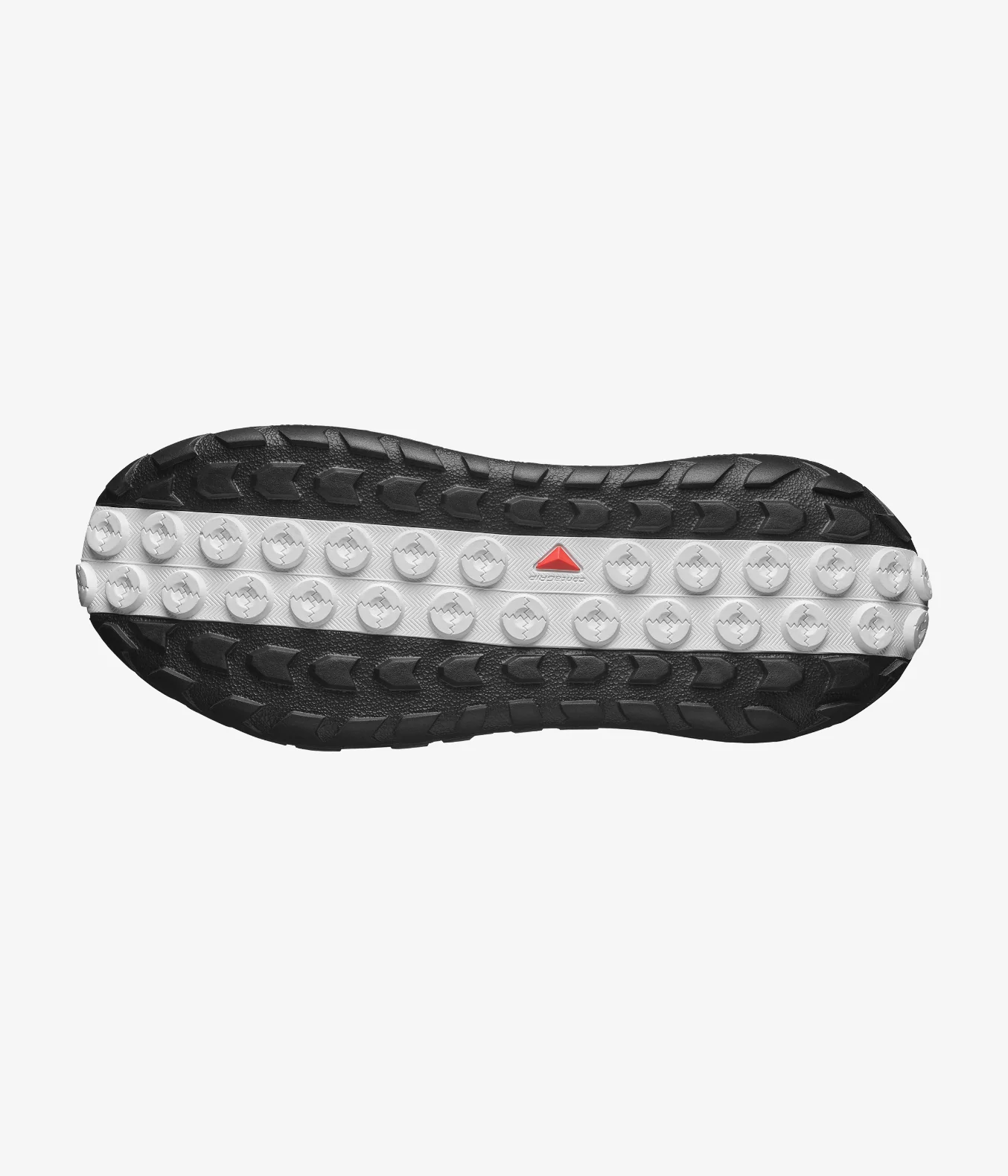 SOLAMPHIBIAN - Image 7