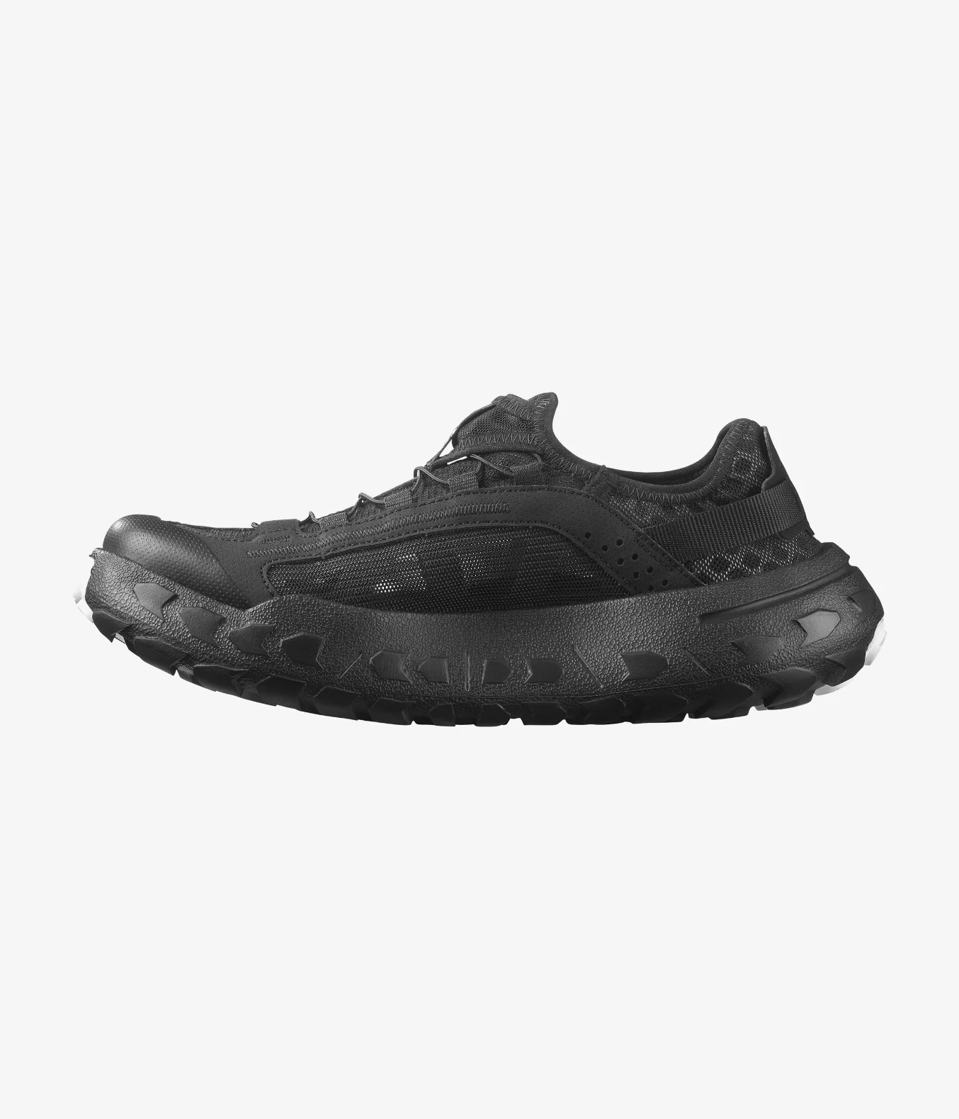 SOLAMPHIBIAN - Image 3