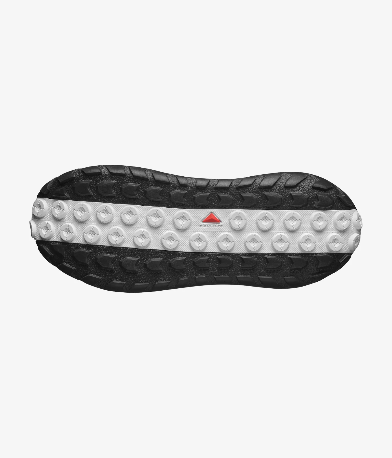 SOLAMPHIBIAN - Image 7
