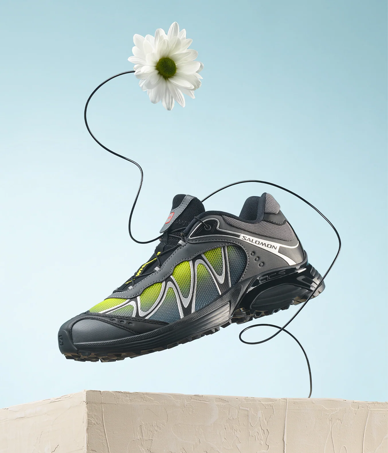 XT-WHISPER - Image 2