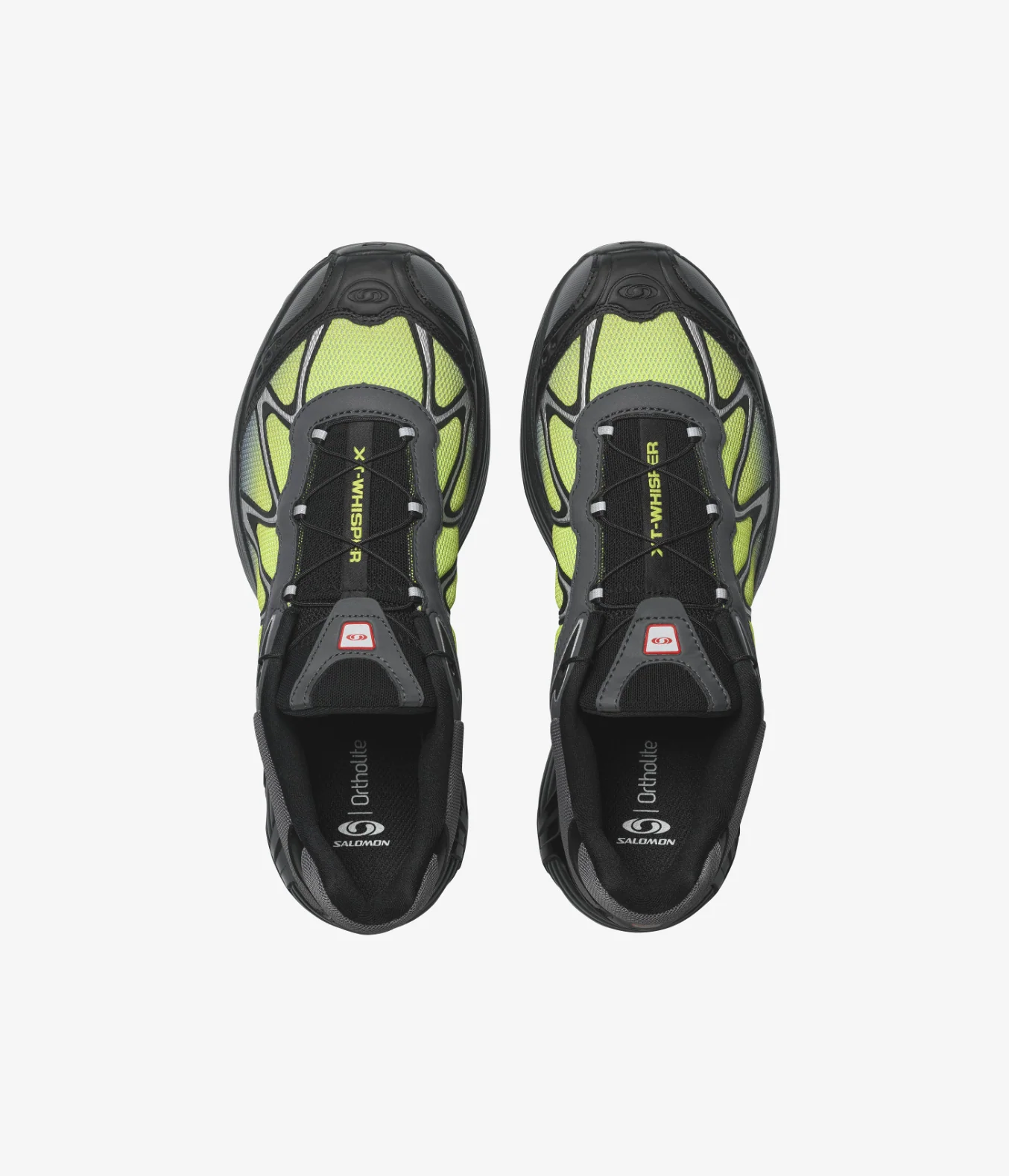 XT-WHISPER - Image 4